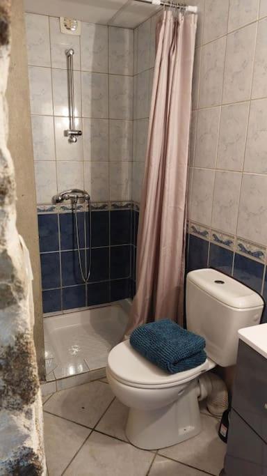 Maisonnette Chaleureuse De 35M2 Miremont  ภายนอก รูปภาพ